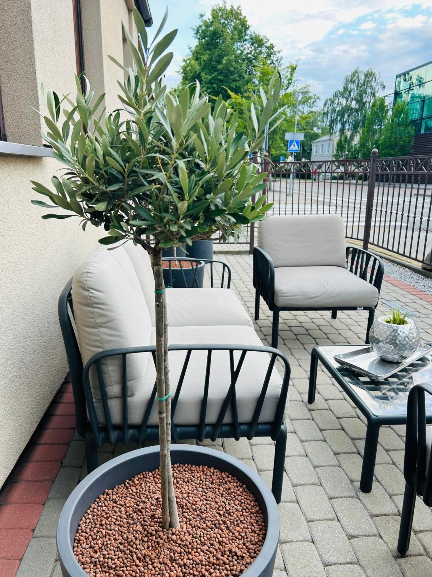 Astos Vila Palanga Esterno foto